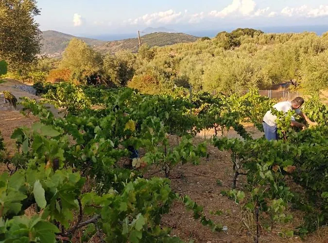 οίνου γη ιθάκη - Winelandithaca Сasa de vacaciones Perachori
