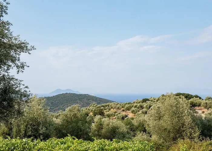 οίνου γη ιθάκη - Winelandithaca Сasa de vacaciones