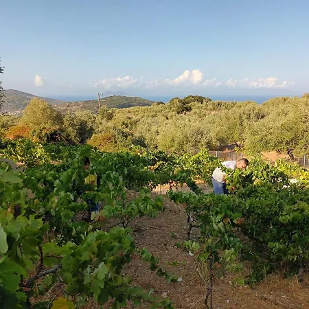 οίνου γη ιθάκη - Winelandithaca