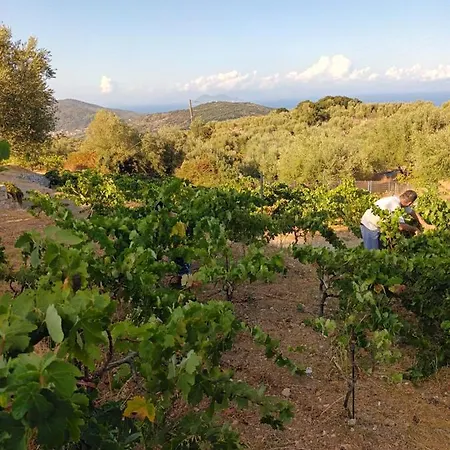 οίνου γη ιθάκη - Winelandithaca Feriehus Perachori