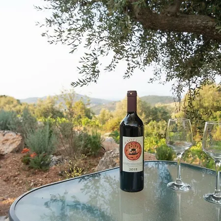 οίνου γη ιθάκη - Winelandithaca Feriehus *