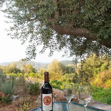 Holiday home οίνου γη ιθάκη - Winelandithaca *
