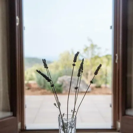 οίνου γη ιθάκη - Winelandithaca