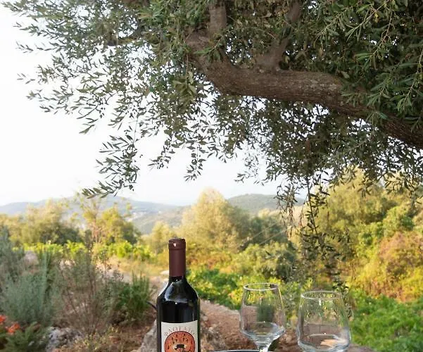 Casa vacanze οίνου γη ιθάκη - Winelandithaca *